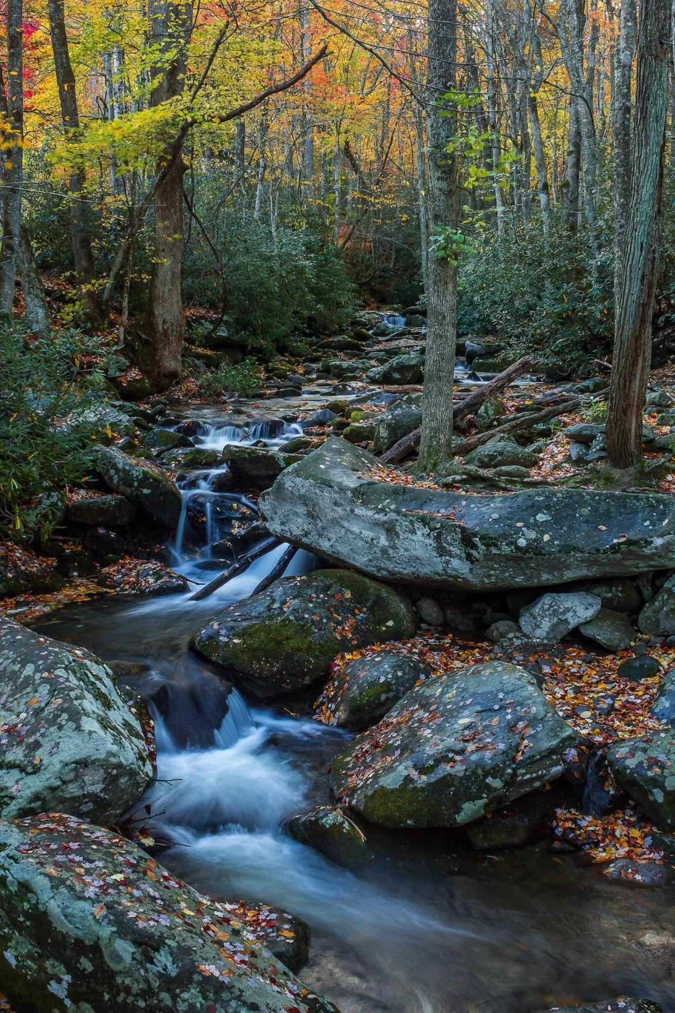 Romantic Mtn Cabin Hot Tub & Jacuzzi Views Villa Sevierville Eksteriør bilde